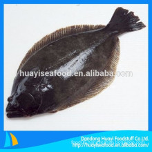 supply various hot sale frozen flounder fish with low price